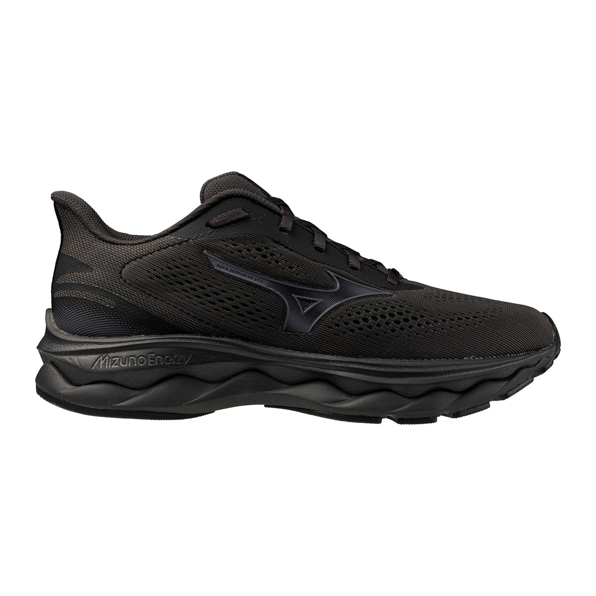 Mizuno Wave Serene GTX 2 Chaussure Trail Femmes-Noir