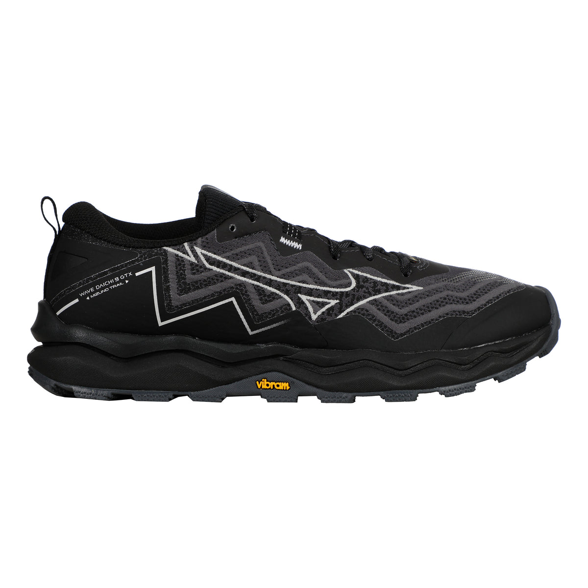 Mizuno Wave Daichi 9 GTX               Chaussure trail Femmes-gris, gris clair