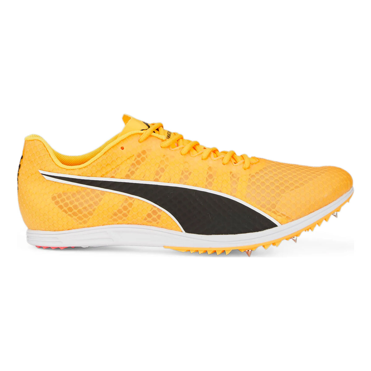 Puma EvoSPEED Distance 11 Spikes-Orange,Noir