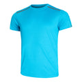 bleu_5727