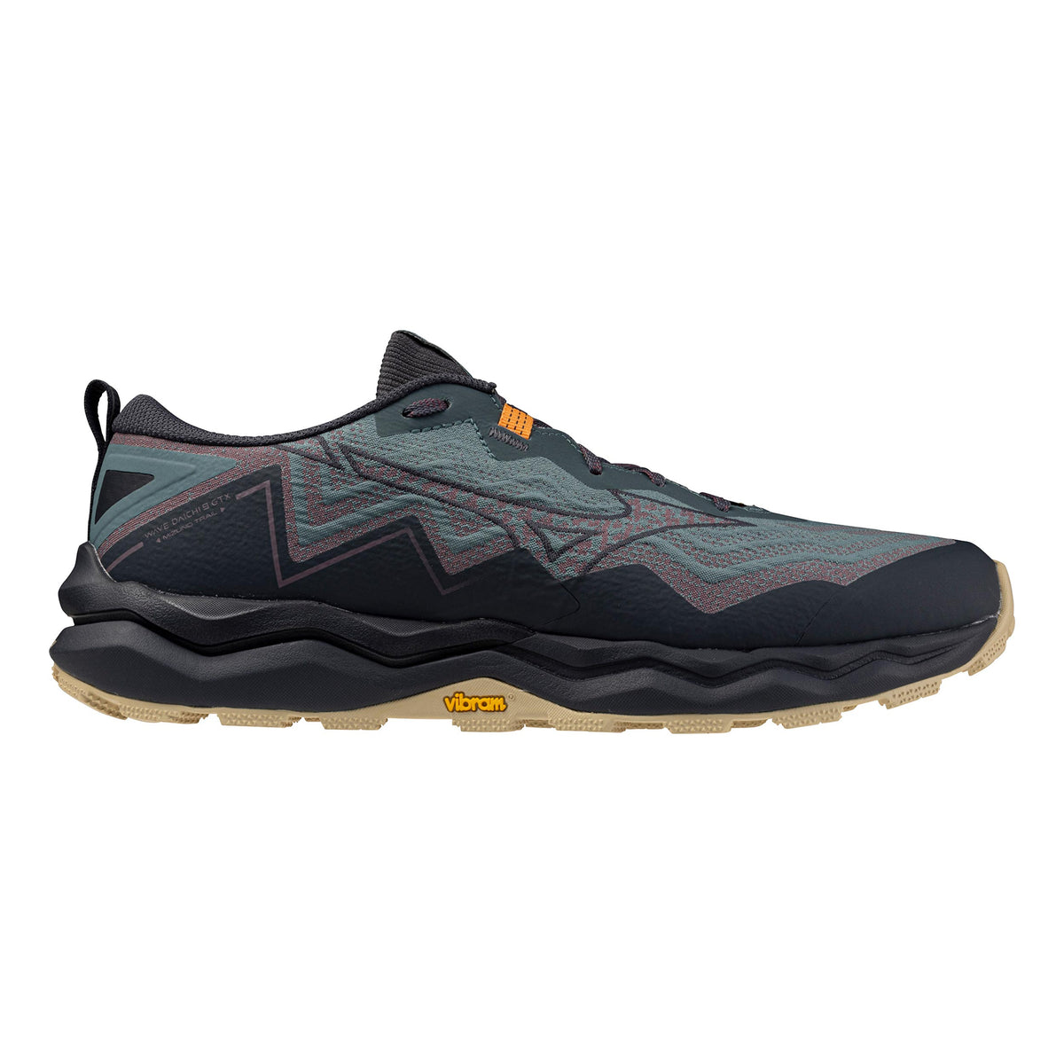 Mizuno Wave Daichi 9 GTX                   Chaussure trail Hommes-bleu, noir