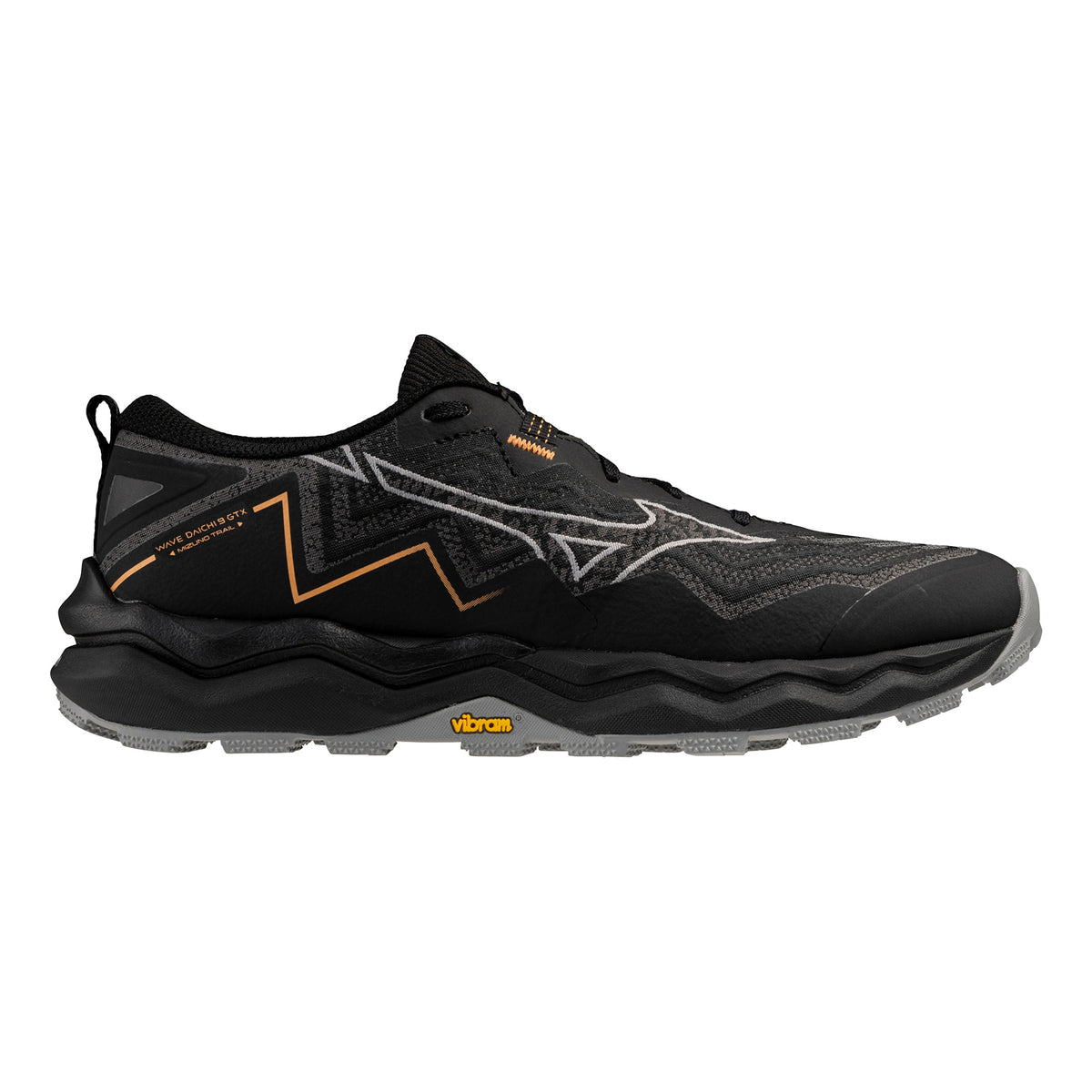 Mizuno Wave Daichi 9 GTX               Chaussure trail Femmes-noir, gris