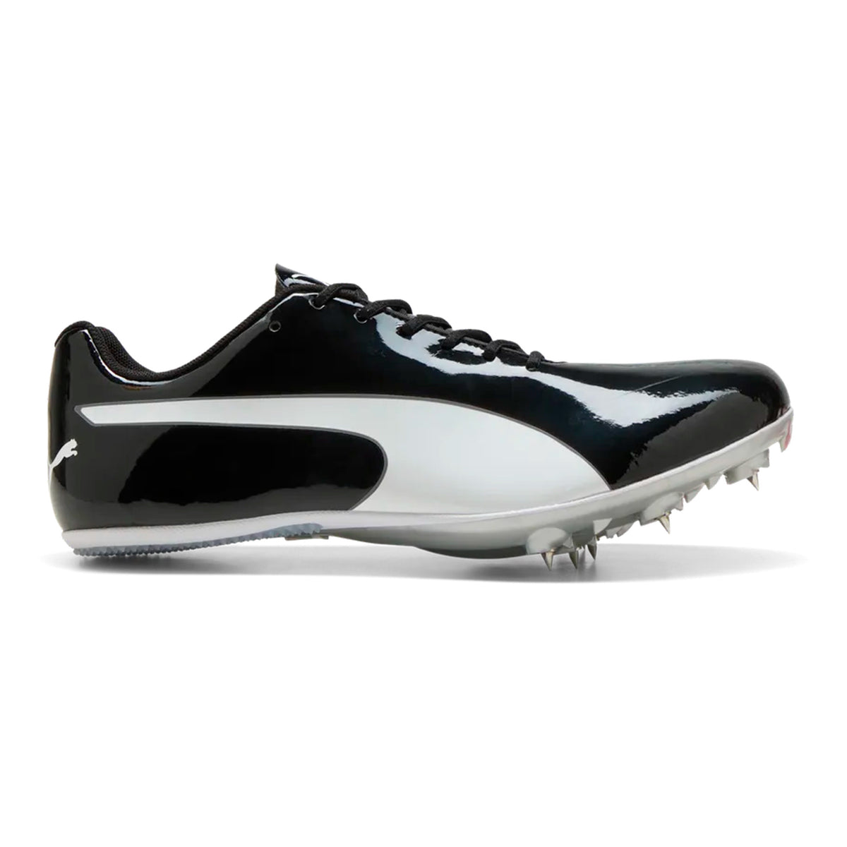 Puma evoSPEED Sprint 14.5 Spikes Unisex-noir, blanc