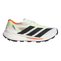 Terrex Agravic TT Chaussure trail Hommes - blanc, noir