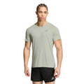 vert olive_6316
