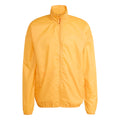 orange_5794