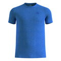 bleu_5727