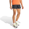 Terrex XPR 5in Short de running Hommes - noir