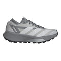 Terrex Agravic GTX 2 Chaussure trail Femmes - gris, gris