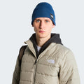 bleu_5727