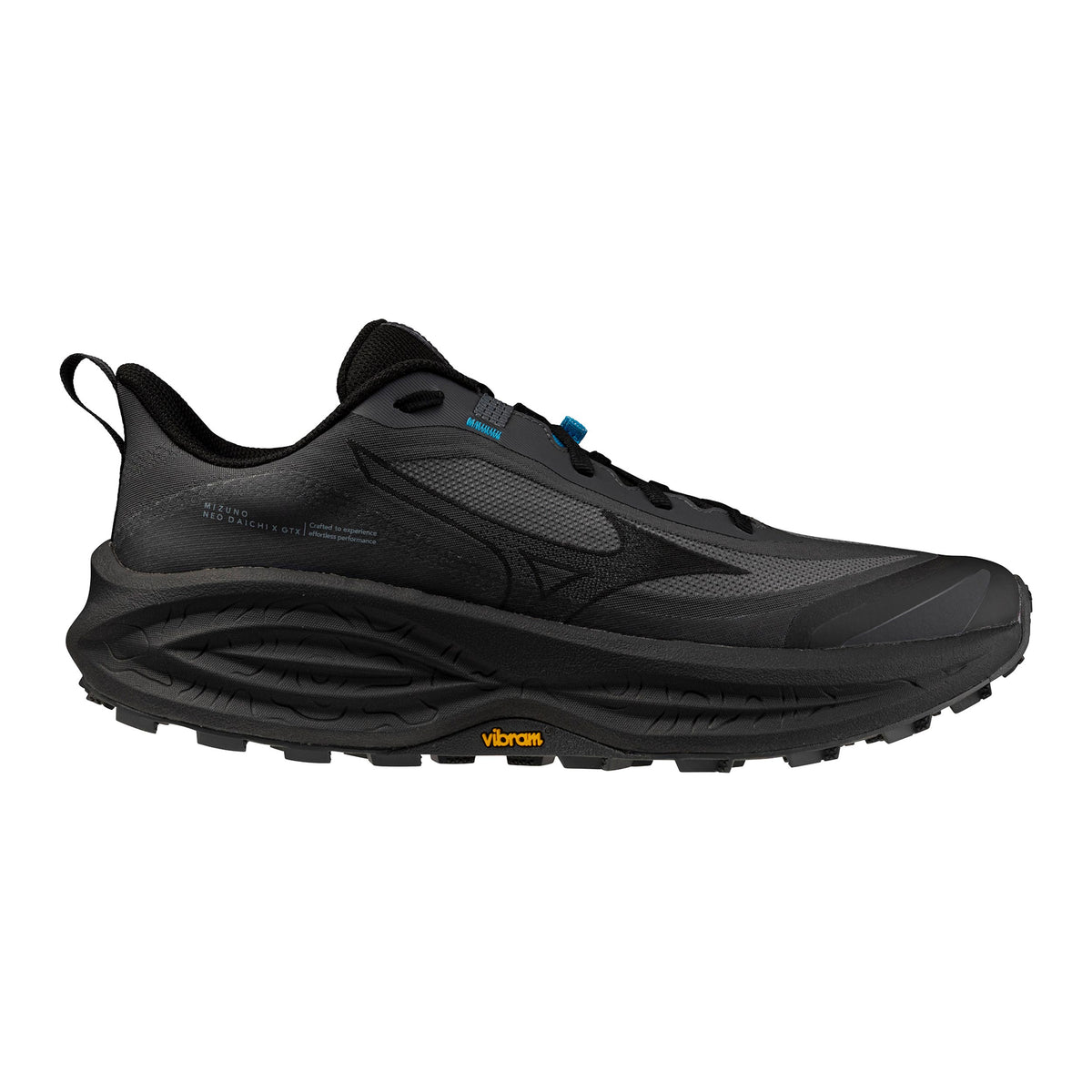 Mizuno Neo Daichi 10 GTX  Chaussure trail Hommes - gris foncé, gris