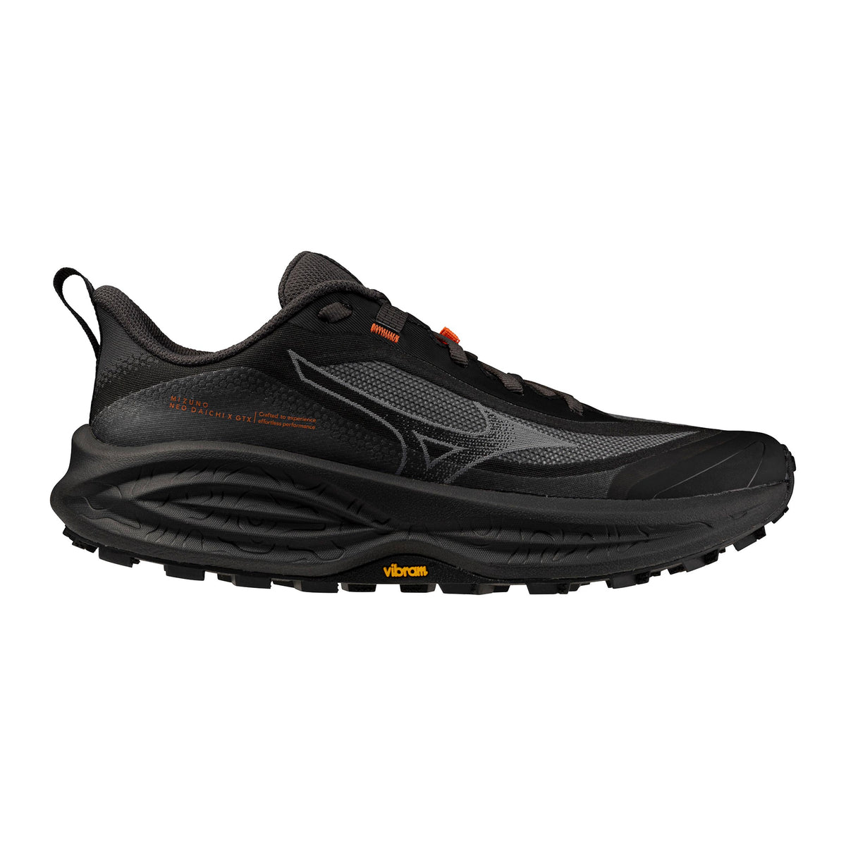 Mizuno Neo Daichi 10 GTX Chaussure trail Femmes - noir, gris